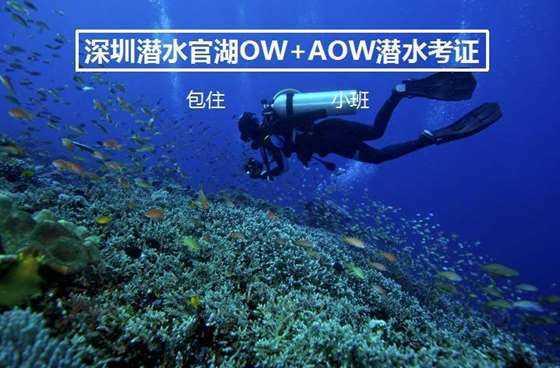 东汉末年辈分最高的皇族，人称“救世主”，却意外被刺客杀死